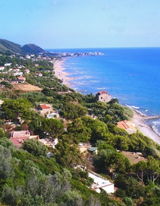 2006_cilento_P.jpg