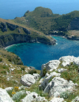 2007_salento_P.jpg 2007_salento_P.jpg