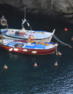 2008_cinqueterre_G.jpg