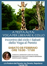Yoga_Collo_KeYoga_Pereto_Laura_Voltolina_P.jpg